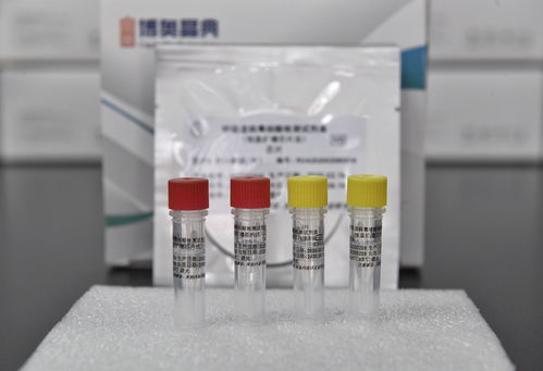 戰(zhàn) 疫 利器升級 1.5小時內(nèi)一次性檢測6種呼吸道病毒