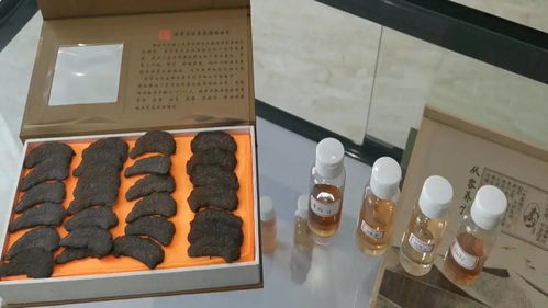 科技轉(zhuǎn)化成果成為產(chǎn)業(yè)高質(zhì)量發(fā)展新動能