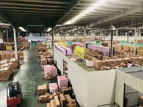 優滋養膳食營養補充食品,以強有力產能支撐作發展后盾