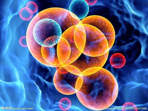 2016年全球生物技術(shù)綜合競爭力評價之創(chuàng)新環(huán)境