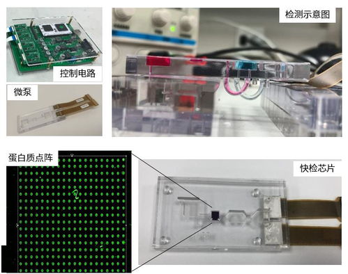 上海工研院微流控技術(shù)推進生物芯片研發(fā)，引領(lǐng)生物科技新浪潮